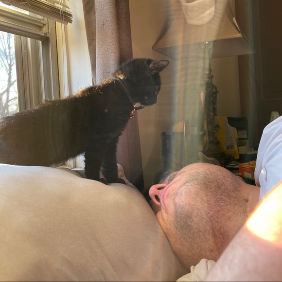 Meet your Posher, Hanna - Picture 4 of 6